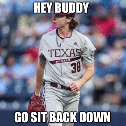 Texas Am Baseball GIF