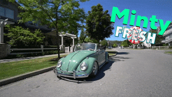 Minty Fresh Bug GIF by TheMacnabs