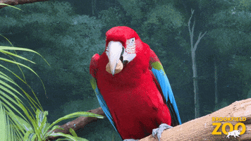 Hungry This Is So Good GIF by Brookfield Zoo