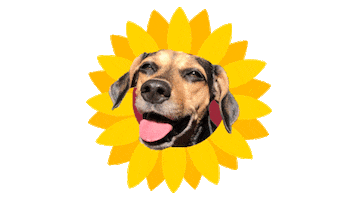 Dog Flower Sticker by Nutella Furacão