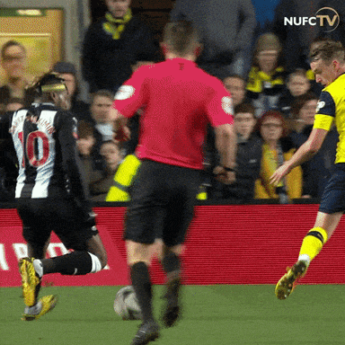 Newcastle United GIF by Newcastle United Football Club ...