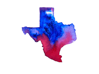 Tex Mex Texas Sticker by Color Snack Creative Studio