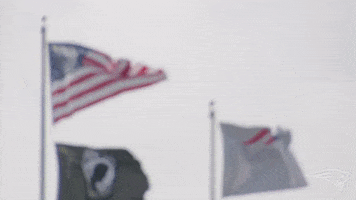 Gillette Stadium Football GIF by New England Patriots