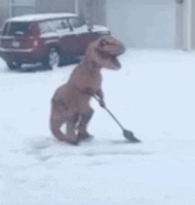 giphy.gif?cid=1521963e5a8f187e496b364d73
