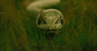 200w.gif
