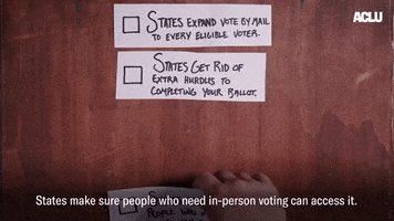 Rights Voting GIF by ACLU