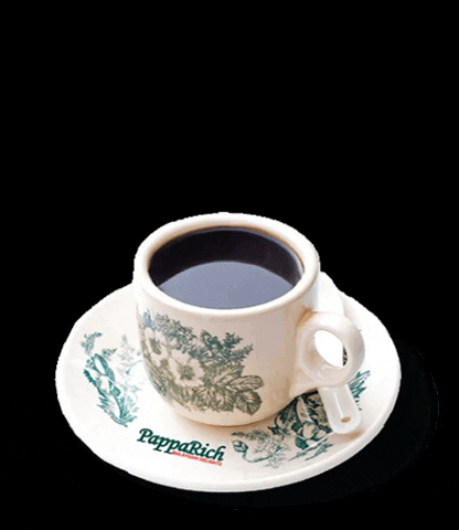Papparich NZ GIF