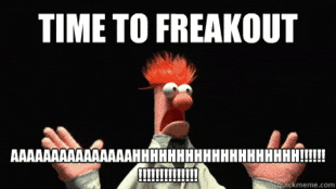 the muppets panic GIF - the muppets panic GIF