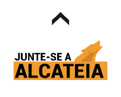 Arrow Brazil Sticker by Nação Empreendedora