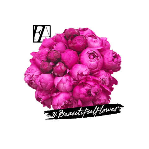 Federicaambrosini Sticker by Daruma Adv