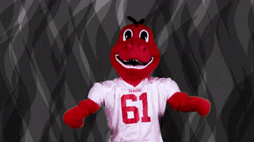 dragons mascot GIF by Minnesota State University Moorhead