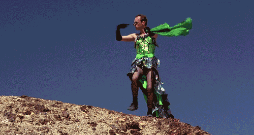 Priscilla Queen Of The Desert GIFs - Get the best GIF on GIPHY