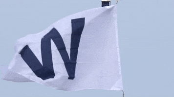 Baseball Win GIF by Marquee Sports Network