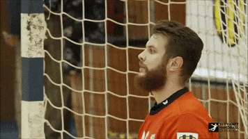 Konecna Sheplayoff GIF