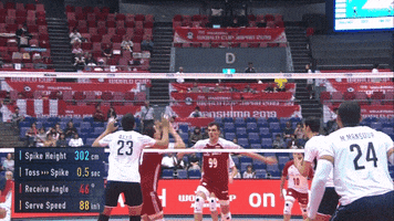 Point Smash GIF by Volleyball World