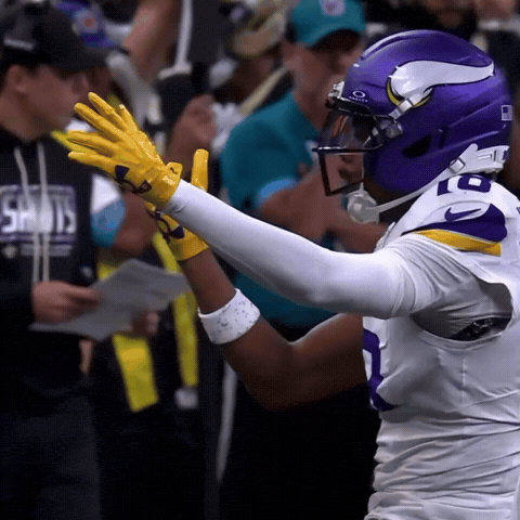 Minnesota Vikings GIF
