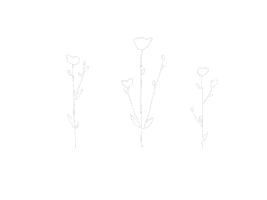 Flowers Harukakly Sticker