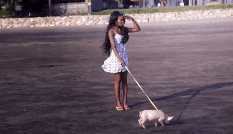 giphy.gif?cid=5e214886ed46afe59847273967