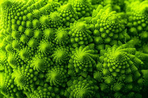 Fractals Sacred Geometry GIF by Justin