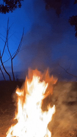 Fire GIF