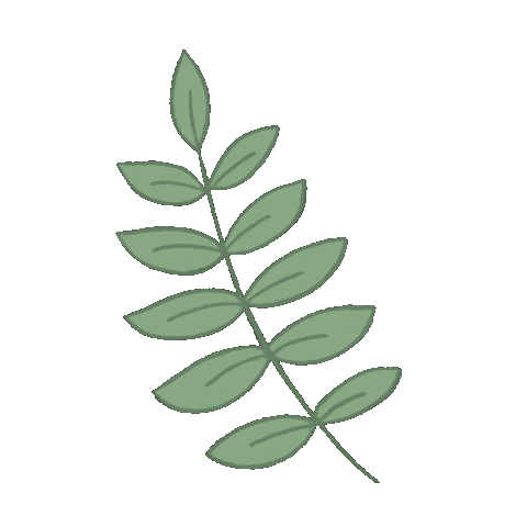 An animated image of 4