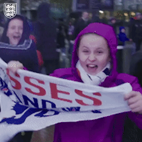 Fans England GIF by Lionesses