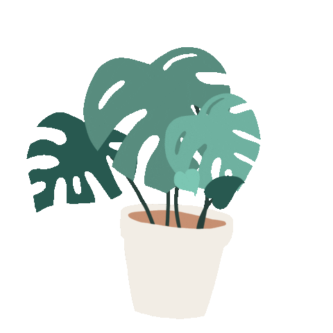 Illustration Sticker