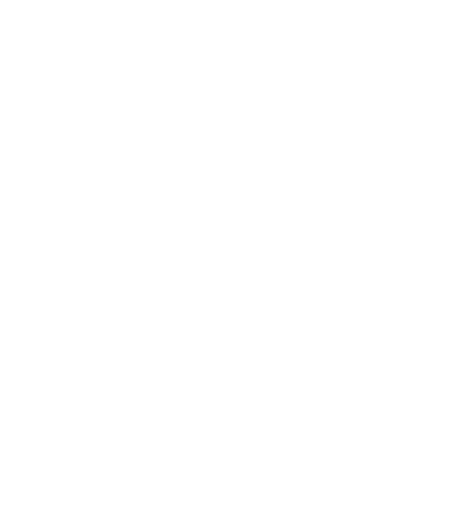 Falco Boutique Sticker