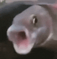 200w.gif