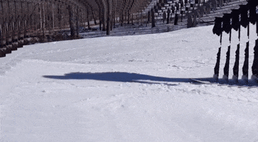 Snow Snowboarding GIF by Mixxit Industries