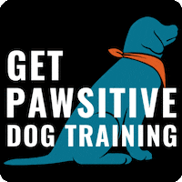 Dogs Dog Training GIF by Get Pawsitive Dog Training