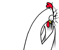 Angry Chicken GIF by happydog