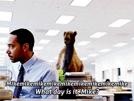 Geico Commercial GIF