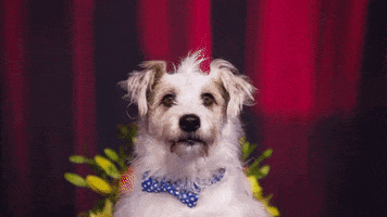 Ards GIF by Hallmark Channel