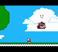 Super Mario Toad GIF