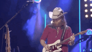 Brothers Osborne Cma Fest GIF by CMA Fest: The Music Event of Summer