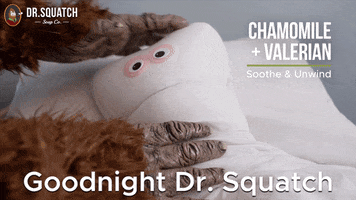 Sasquatch Valerian GIF by DrSquatchSoapCo