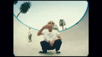 Palm Tree Skate GIF by Curtis Waters