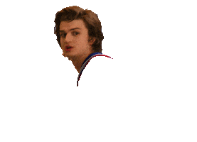 Netflix Sticker