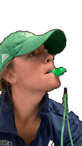 Lacrosse Sticker by Endicott Athletics