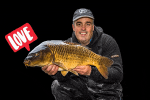 Preston Innovations (Sonubaits) GIF