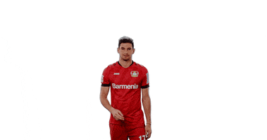 Lucas Alario Goal GIF by Bayer 04 Leverkusen