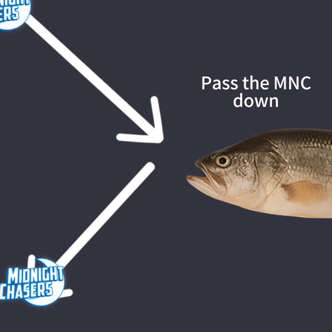 Mnc GIF