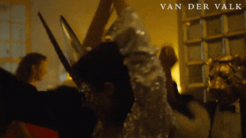 House Party Dancing GIF by Van der Valk