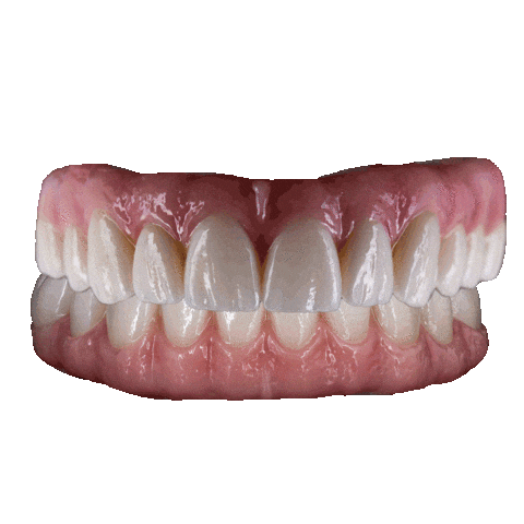 Dentistry Dental Lab Sticker by Oral Arts Dental Laboratory