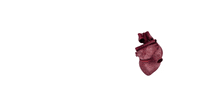 mediamodifier heart life blood pump GIF