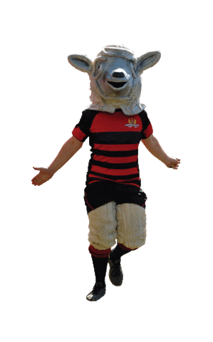 Canterbury Rugby Sticker