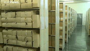Archive Kgb GIF by euronews