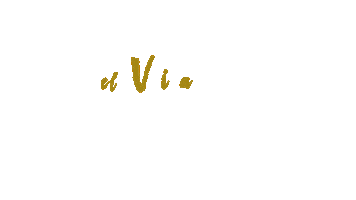 Travel Enzo Sticker by enzohoneymoons