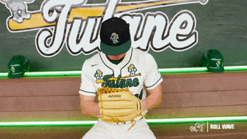 College Baseball Jackson GIF by GreenWave